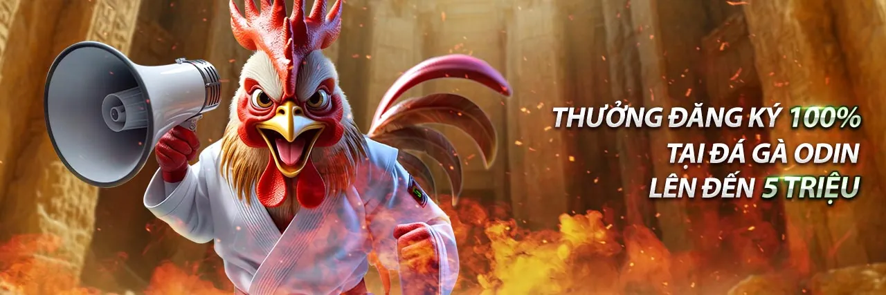 Banner khuyến mãi đá gà Fun88